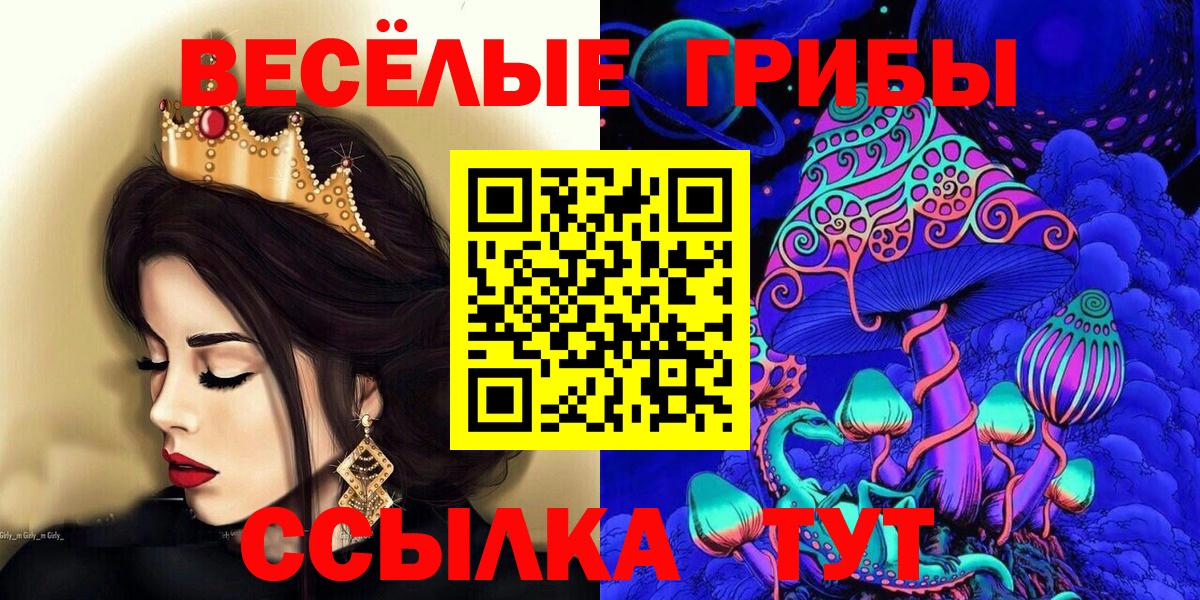 где можно купить наркотик  Вход с VPN  Фурманов  Псилоцибиновые грибы Magic Shrooms  Псилоцибиновые грибы Psilocybine cubensis 